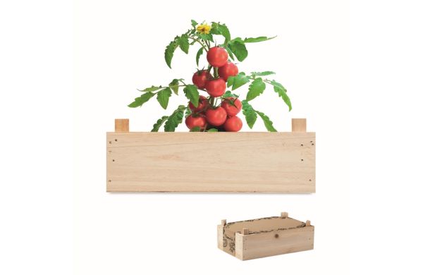 TOMATO Saat-Set Tomate - holzfarben