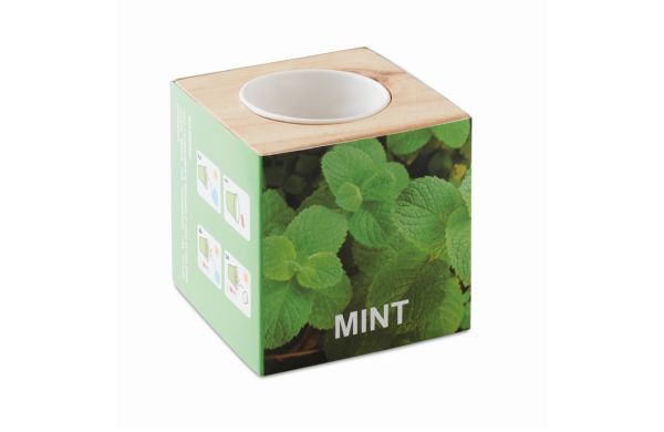 MENTA Kräuterpflanz-Set "Minze'' - holzfarben